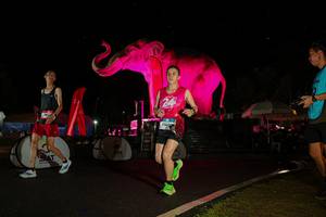 BIB: 
                            <button type="button" onclick="openModal(26543413)" class="btn btn-primary btn-sm float-right btn-popup" data-toggle="modal" data-target=".modal-high-quality">
                        <i class="fas fa-shopping-cart"></i> Add to Cart
                    </button>
                                            <button type="button" onclick="isThisMe(26543413, true)" class="btn btn-success btn-sm float-right btn-popup btn-isme hidden" data-toggle="tooltip" data-placement="bottom" title="นี่คือรูปของคุณใช่ไหม คลิกที่นี่เพื่อเอาเข้าอัลบั้ม">
                        <i class="fas fa-plus"></i> Add to album
                    </button>
                    <button type="button" onclick="isThisMe(26543413, false)" class="btn btn-warning btn-sm float-right btn-popup btn-isnotme hidden">
                        <i class="fas fa-ban"></i> Remove from album
                    </button>